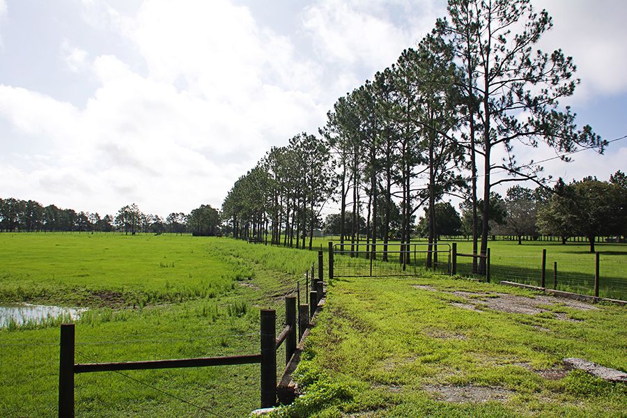 3375 Anderson Rd, Mulberry, FL 33860